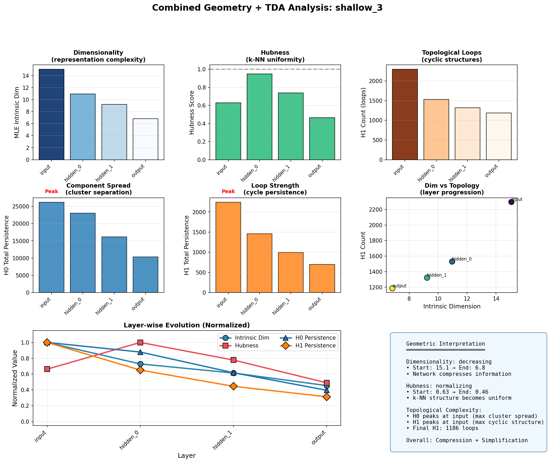 Combined geometry and TDA analysis for a 3-layer MLP on MNIST, showing monotonic compression of intrinsic dimension and topological complexity through the network